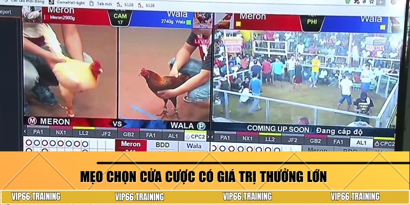 Mẹo chọn cửa cược có giá trị thưởng lớn
